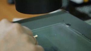 Производство розеток в России. Завод "Потенциал".