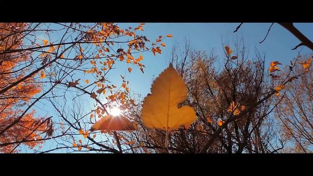 Играет красками природа смотреть онлайн