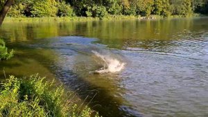 4G Sprint Boat Finally Running! / M-Jet 35 Power Showcase