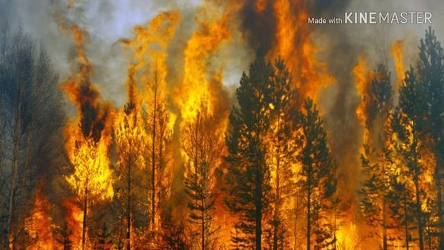 Стеллар звездный волк 7 серия 2 сезон смотреть онлайн