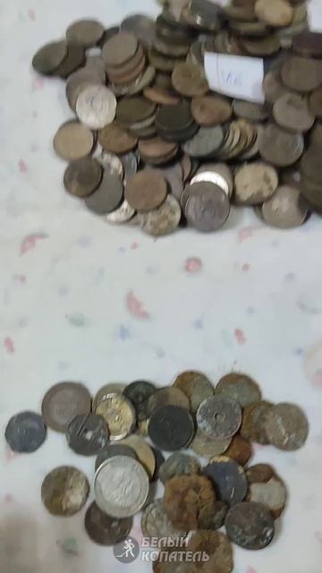 Монеты за 2024 год, колличество и сумма в рублях! смотреть онлайн