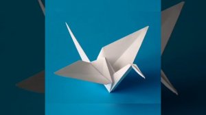 День мира в старшей группе