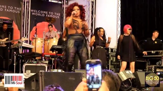 Chaka Khan performs "Ain't Nobody" with Incognito @ Southport weekender 50 смотреть онлайн