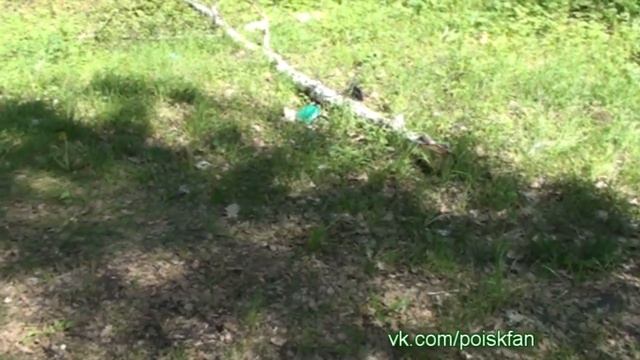 Коп и Земляника: Дневники Кладоискателя: