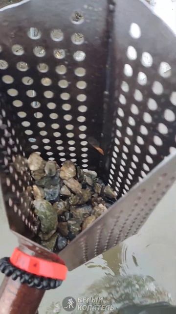 Вы только гляньте, что я нашел! смотреть онлайн