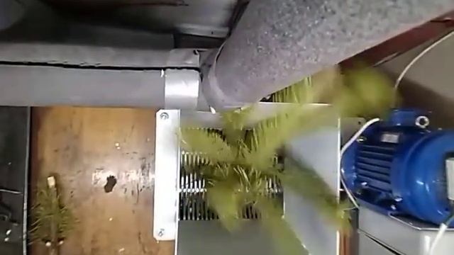 Измельчитель для елки, сосны (amazing video)