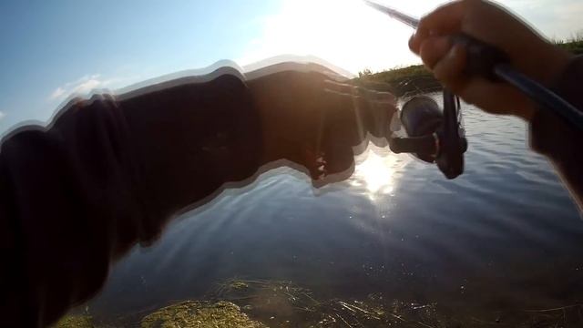 День зрелищных поклевок / Ловля на воблеры смотреть онлайн