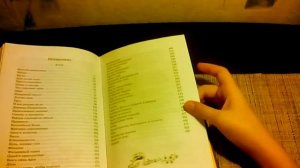 Обзор на книгу" Чернильное сердце"