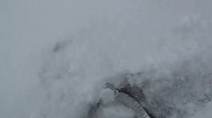 ЗИМНЯЯ РЫБАЛКА