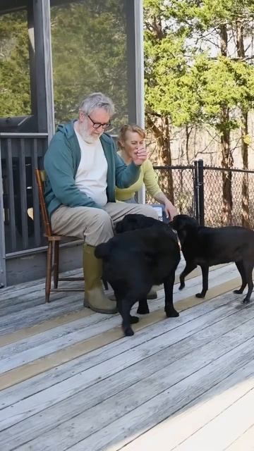 Relaxing moments #shorts смотреть онлайн