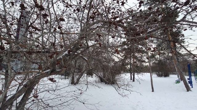 200. Дневник погоды 12.01.22 Омск смотреть онлайн