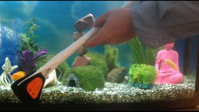 Penn-Plax Wizard Aquarium Scraper смотреть онлайн