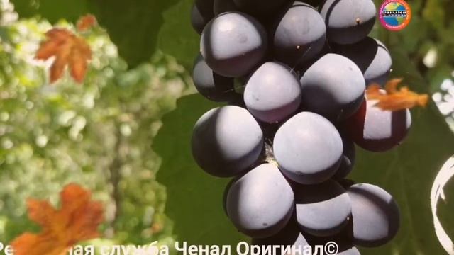 Невероятная природа настоящая красота вот что нас ждёт дальше!