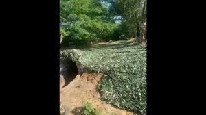 Сюжет от участников проекта "Вместе приближаем Победу"