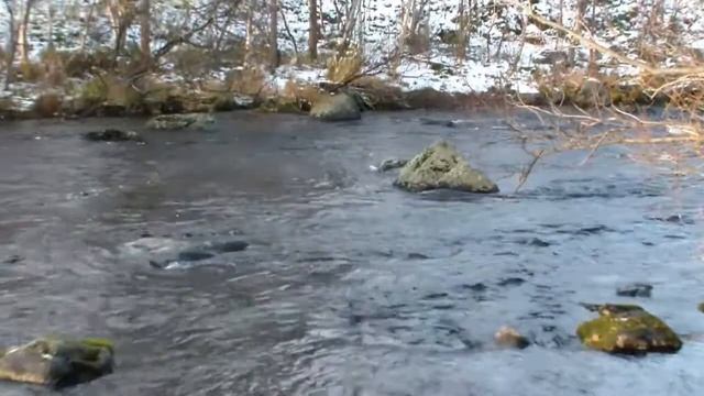 Осенняя песня варгана смотреть онлайн