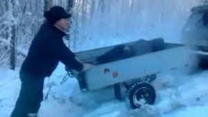 За валежником 😲