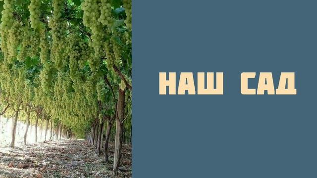 Rus tilini noldan o'rganing|Rus tilini oson va tez o'rganing смотреть онлайн