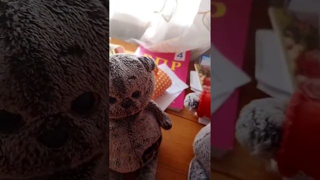 Басики.Оценки по русскому языку