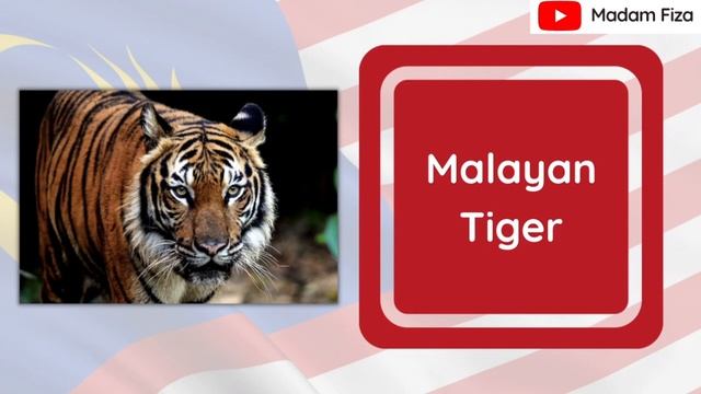 ENGLISH YEAR 2 UNIT 9: AT THE BEACH (MY COUNTRY - SUPERMINDS PAGE 112 ) смотреть онлайн