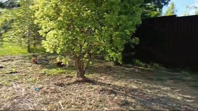 VID-20250128-WA0009 смотреть онлайн