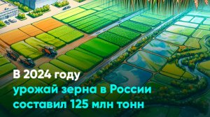 В 2024 году урожай зерна в России составил 125 млн тонн