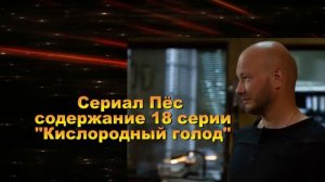 Пес 5 сериал. Анонс с 16 по 19 серию. Содержание