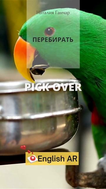 Забавный английский 1 / Funny English #enjoy #английский #funny смотреть онлайн