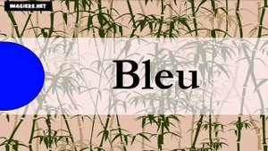 урок французского языка = цветов