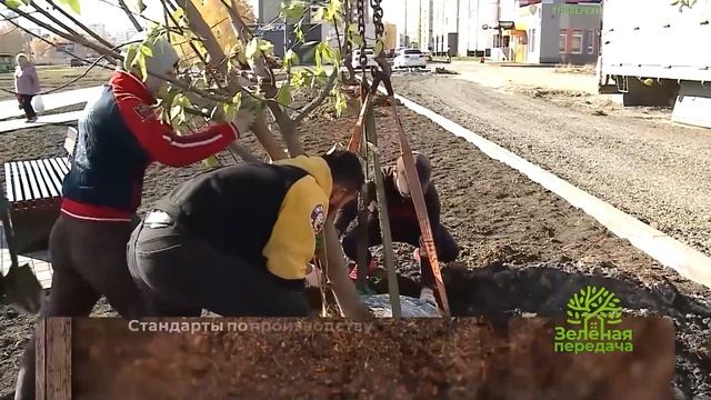 Green Life Калининград смотреть онлайн