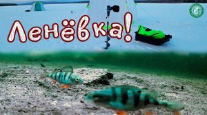 ЗИМНЯЯ РЫБАЛКА НА ЛЕНЁВКЕ! МОРОЗНОЕ УТРО, ЖЕРЛИЦЫ РАСТАВИЛ, УДОЧКИ НАСТРОИЛ, ОПУСТИЛ КАМЕРУ ПОД ЛЁД!