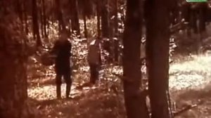 Дебют   The Debut 1978 фильм смотреть онлайн