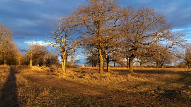 ТУЛЬСКИЕ ЗАРИСОВКИ (ч.1. Варваровка) - (Фото из альбома Николая Будина (Тула)) смотреть онлайн