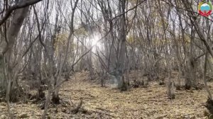 🔹Пресс-служба Буйнакского района село Апши продолжает цикл передач на родных языках.