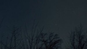 ЗАСТУПНИКИ 5-8 СЕРИИ (Первый канал) Анонс и описание