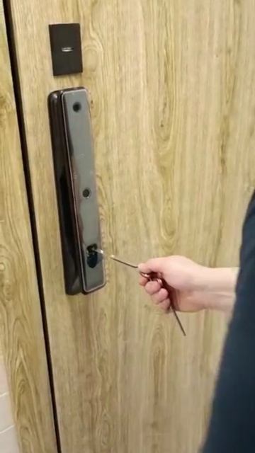 Установка биометрического замка (4)