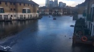 Лебедята учатся летать (полный)