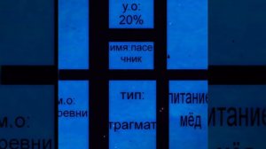 =/пасечник/= главное управление мчс кабанской области