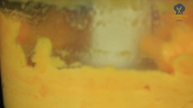 HAVAN | Especial dia do Sorvete: Sorbet de Manga смотреть онлайн