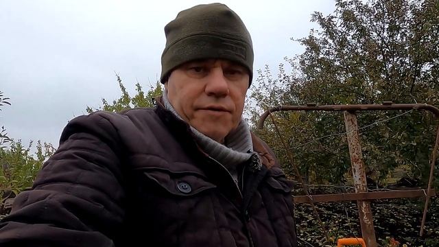 Подготовка винограда к зиме! Чем обработать и как просто и надежно укрыть виноград на зиму!