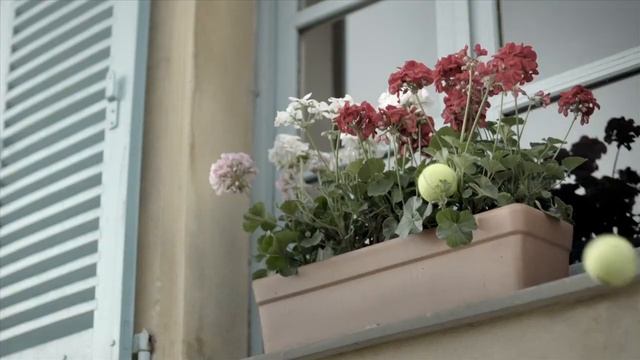 SEIKO SNP091P смотреть онлайн