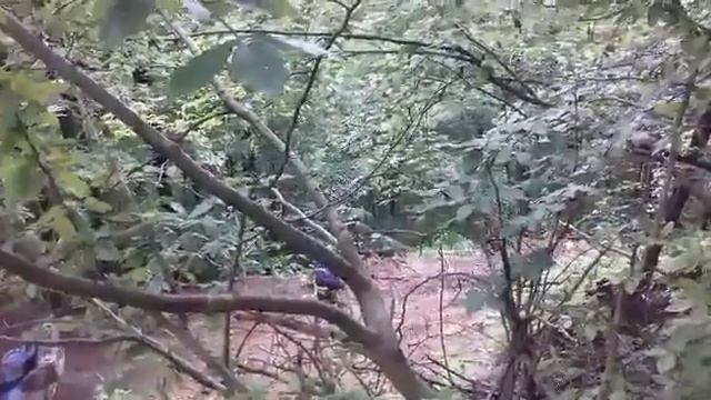 Экспедиция квадроциклистов из клуба «Bizon» // РИАМО в Подольске смотреть онлайн