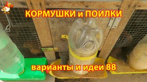 Кормушки и поилки для кур своими руками (88) 🪚✂️ Пошаговая инструкция как сделать 🐔 🐓❣️