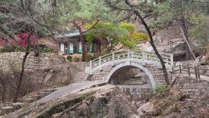 Сеул  20 11 2024