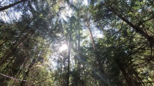 Отработка базовых навыков в природной среде.