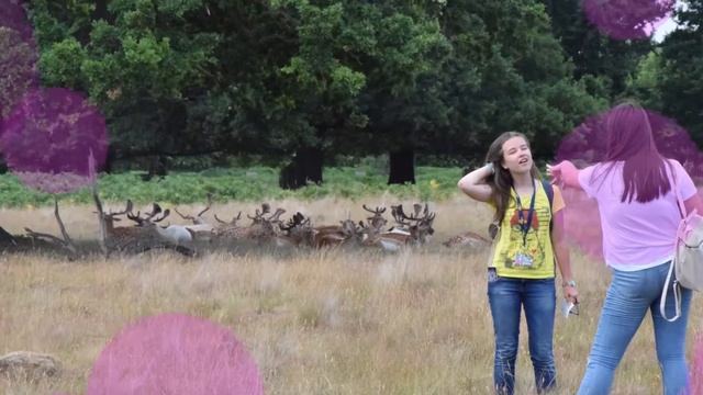 Рекламный ролик для Школы английского языка. смотреть онлайн