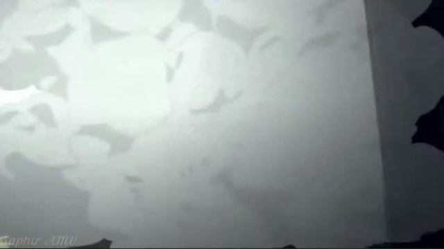 [AMV] Zankyou no Terror ~ Legend смотреть онлайн