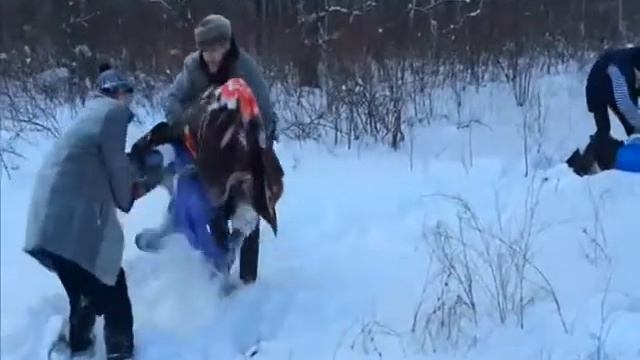 Яна ел 2014 смотреть онлайн