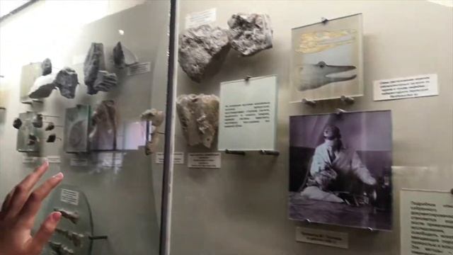 Визит в палеонтологический музей смотреть онлайн