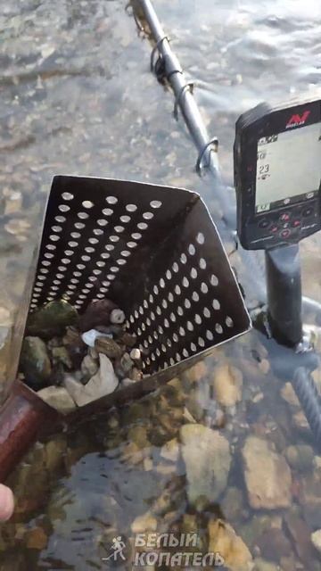 Minelab Manticore уже окупается ✌️ смотреть онлайн