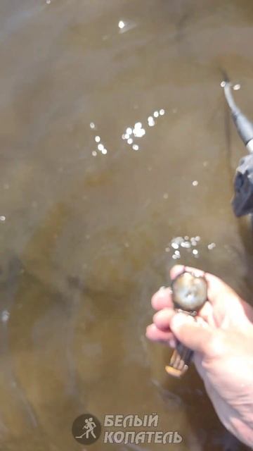 Интересная находка со дна смотреть онлайн